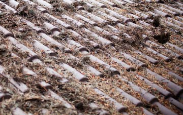 Souldrop roof cleaning companies